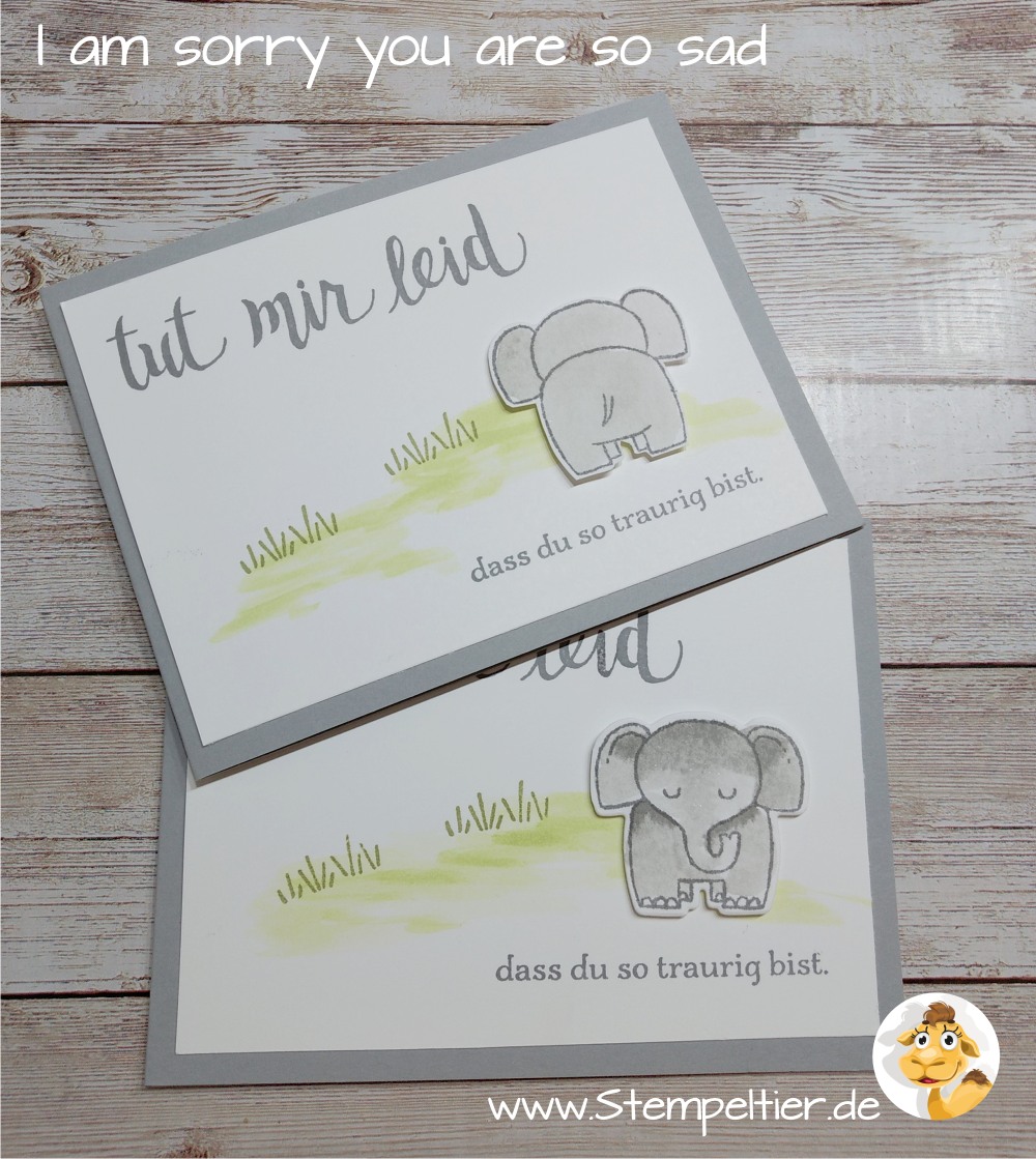 stampin up stempeltier elephant wild sorry tierische glückwünsche elefant entschuldigung