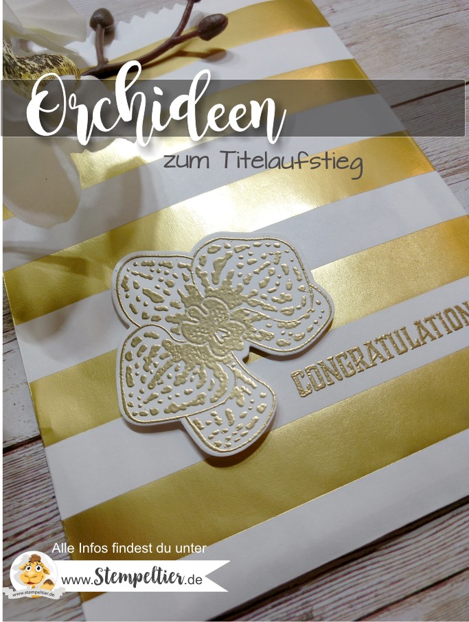 stampin up blog team titelaufstieg glückwunsch elite bronze kupfer letters for you orchideen orchid builder stempeltier 1