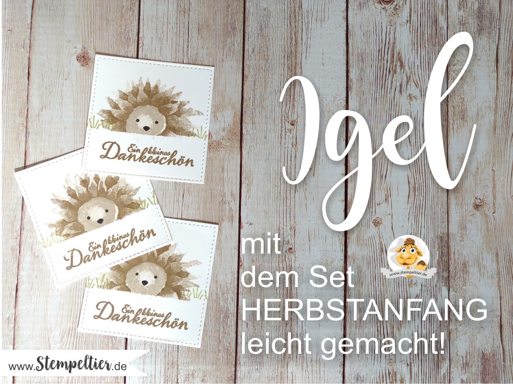 stempeltier stampin up igel herbstanfang hedgehog sunflower sonnenblume anleitung video harvest fall