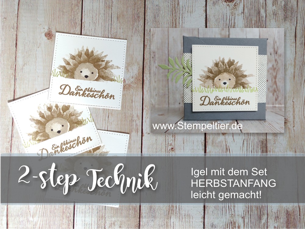 stempeltier stampin up igel herbstanfang hedgehog sunflower sonnenblume anleitung video