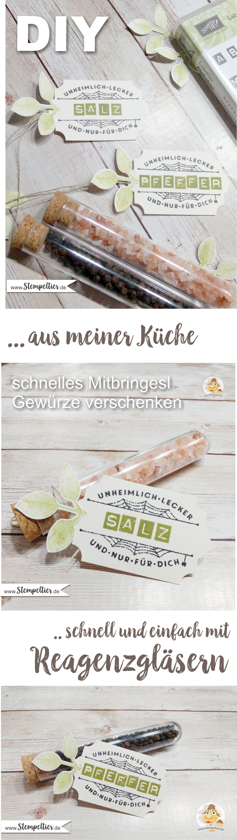 stampin up diy süßigkeiten röhrchen tubes reagenzglas verpackung salz pfeffer etikett gewürze salt pepper