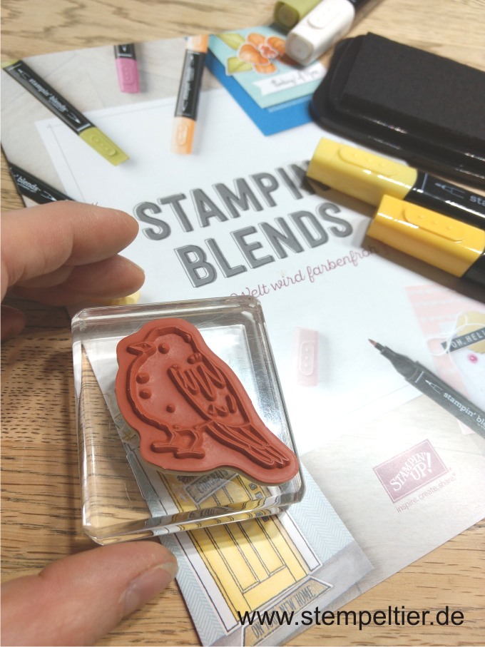 stampin up farbenfroh stampin blends alkoholmarker colorieren ausmalen stempeltier vogel