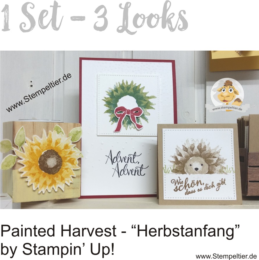 stampin up painted harvest herbstanfang igel wreath sonnenblume stempeltier