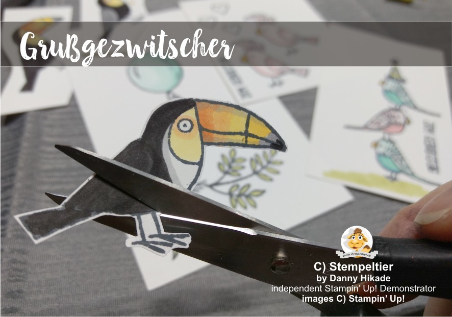 tukan stampin up occasions 2018 SAB tucan Tukan Vögel Grußgezwitscher Bird Banter