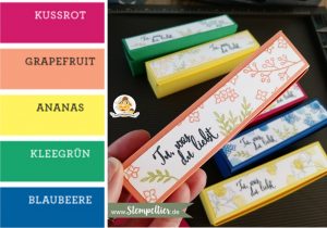 stampin up incolors2018 2020 geteilte leidenschaft stampin up