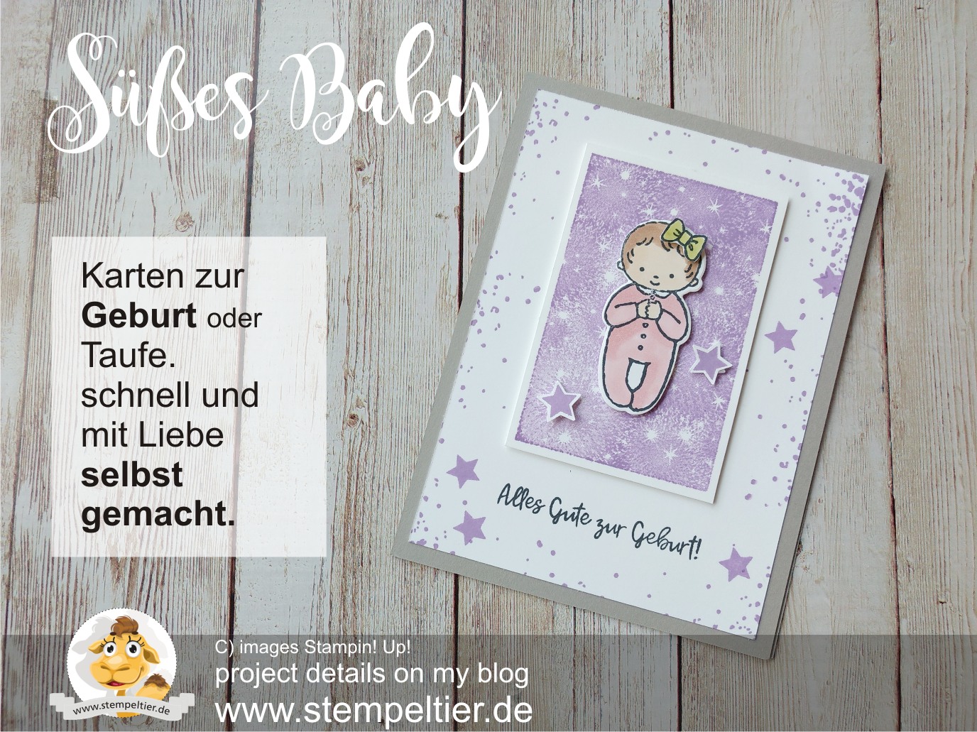 stampin up süßes baby wiegenfest geburt karte mädchen stempeltier girl taufe DIY