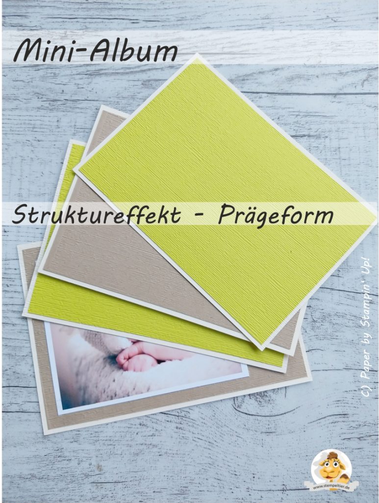 stampin up minialbum struktureffekt prägeform subtle texture embossing folder