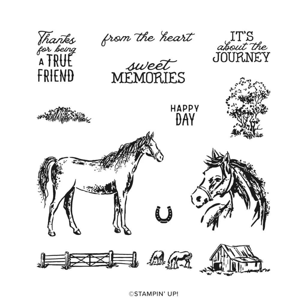 stampin up pferde reiten gutschein 
