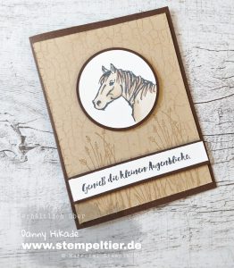 stampin up pferde reiten sab 2019 horse riding stempeltier