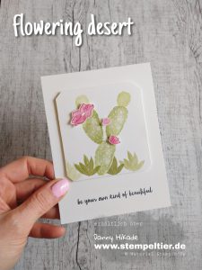 stampin up flowering desert kaktus kakteen crackle paint stempeltier