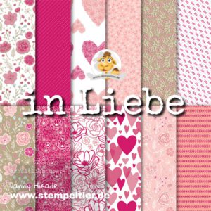 Stampin Up DSP in liebe Valentinstag Herzen Stempeltier