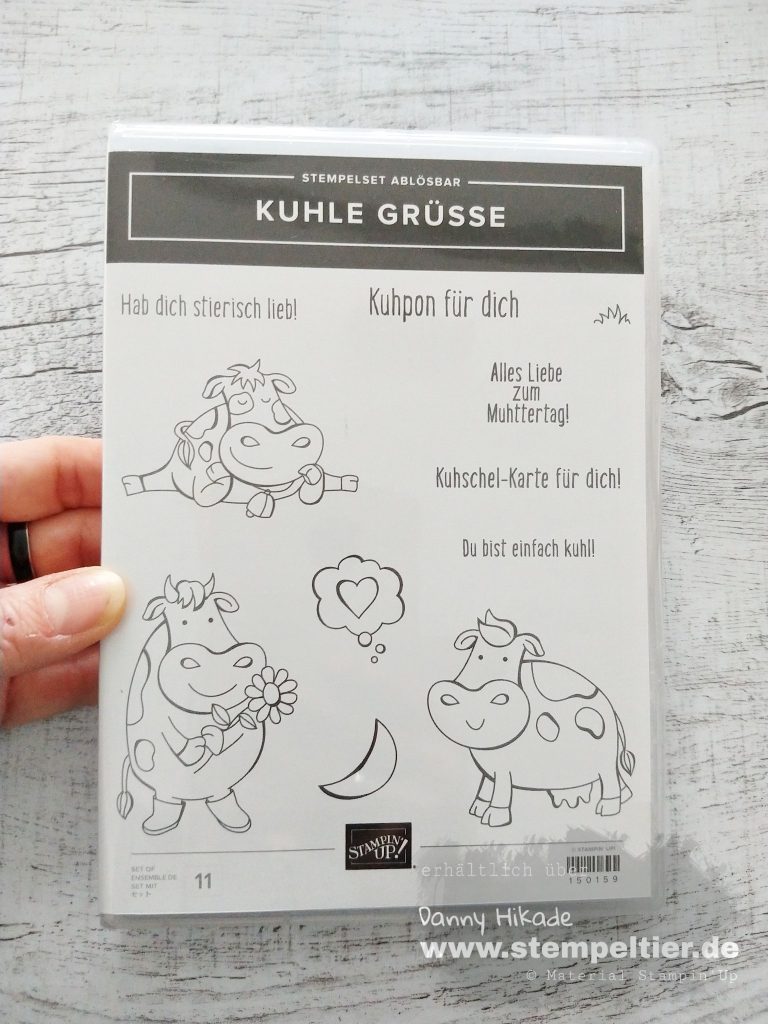 stampin up kuhle grüße kühe kuh cow neu stempeltier