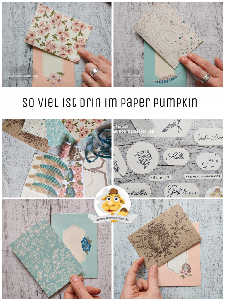 stampin up inhalt des Paper Pumkin Set Mai kartenset stempeltier