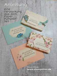 Stampin'up Paper Pumpkin shelli Anleitung Video Verpackung Genesung gute Besserung