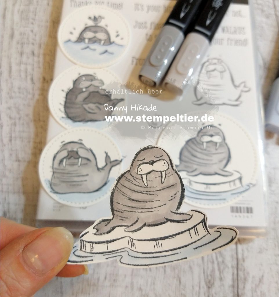 stampin up well walrus be friends walross martim Karte stempeltier geburtstag