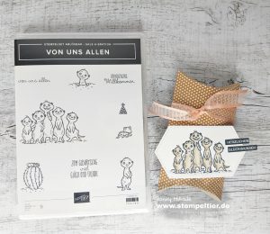 stampin up erdmännchen pillowbox verpackungvon uns allen the gangs all meer meerkat sab saleabration 2020