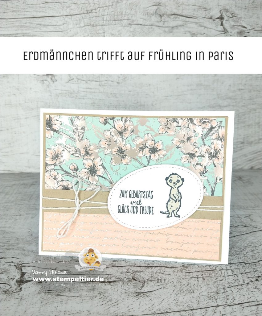 stampin up erdmännchen von uns allen frühling paris dsp all meer meerkat sab saleabration 2020