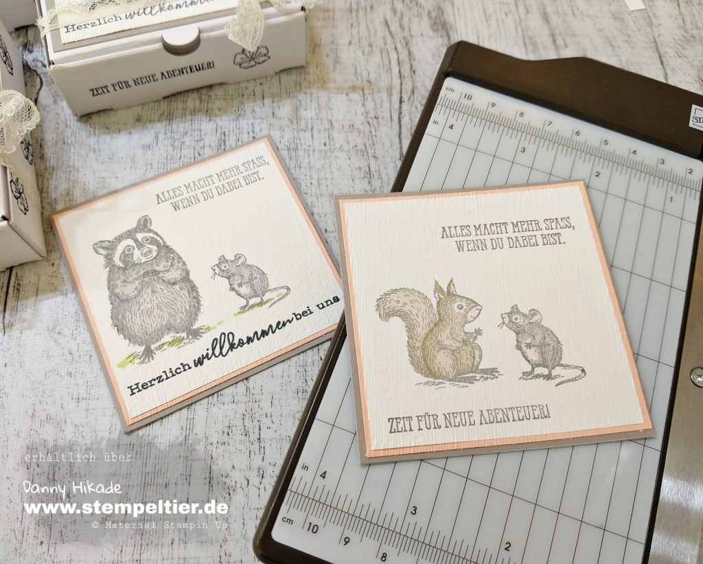 stampin up verpackung special someone waschbär willkommen im team stempeltier demo werden