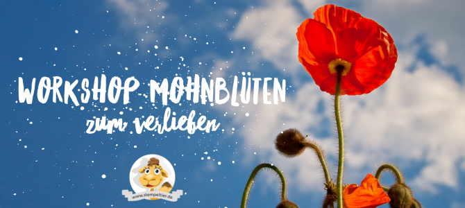 Workshop rund um die Mohnblüten