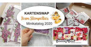 stampin-up-kartenswap-team-stempeltier-minikatalog-sab-2020-karten