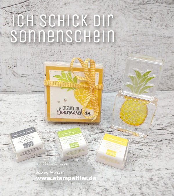 stampin up cute fruit ananas melone stempelset sonnenschein