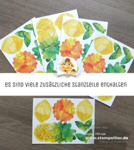 Stampin Up paper pumpkin sonne pur box of sunshine Stempeltier ananas zitrone Sonnenschein