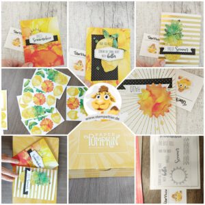 Stampin Up paper pumpkin sonne pur sunshine box