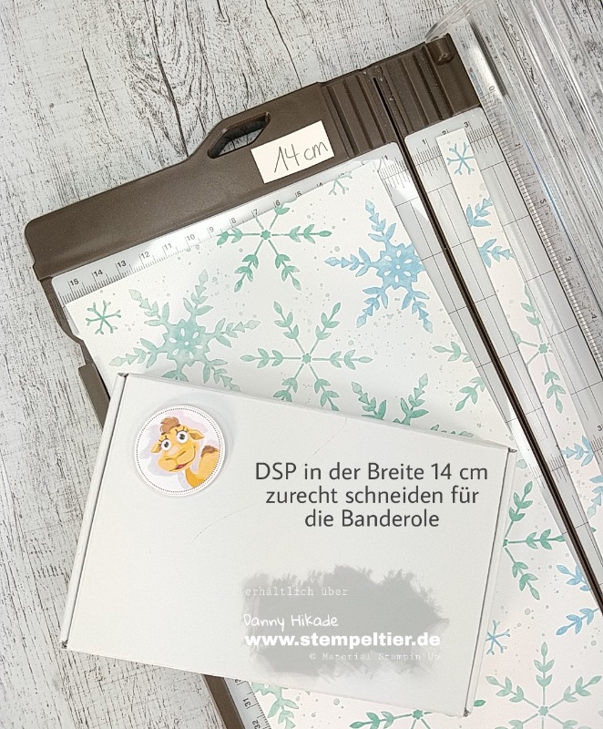 Stampin'Up Schneeflocken Traum DSP Verpackung Anleitung Stempeltier