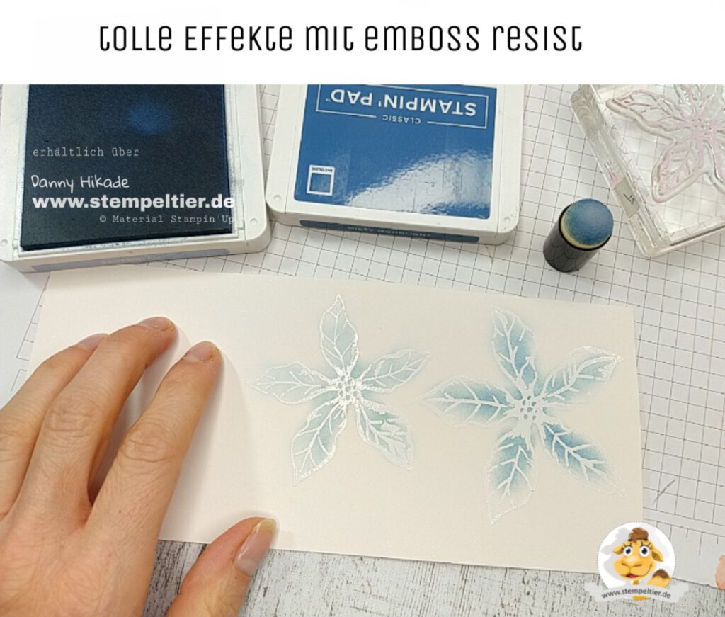 stampin up blühende weihnachten weihnachtsstern emboss resist technik stempeltier