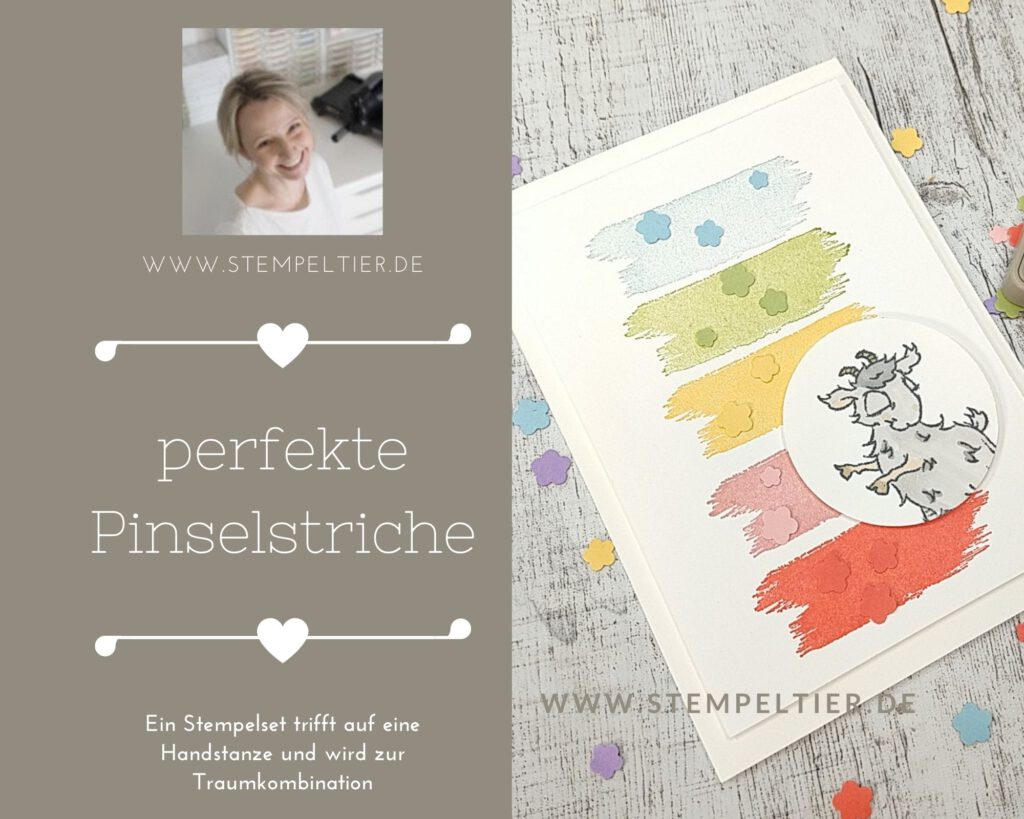 stampin up karten basteln regenbogen nix zu meckern blumen konfetti