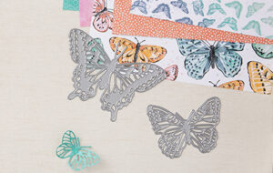 stampin up produktpaket butterfly brilliance schmetterlinge