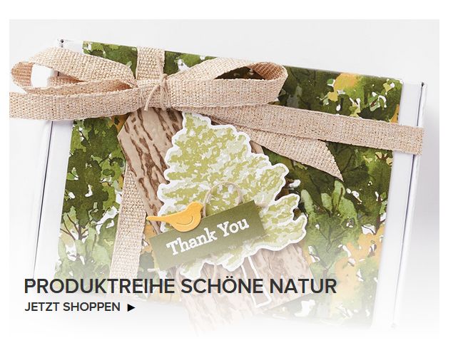 stampin up produktreihe schöne natur wunderbare Freunschaft