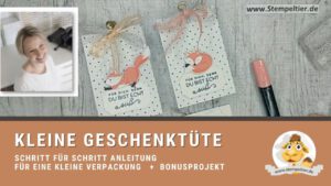 stampin up anleitung verpackung tüte schokolade stempeltier