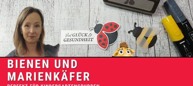 Aus Marienkäfer wird Biene