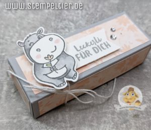 stampin up hippe grüße nilpferd verpackung hippos anleitung