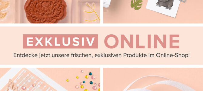 NEWS Online Exclusive Produkte bei Stampin‘ Up!