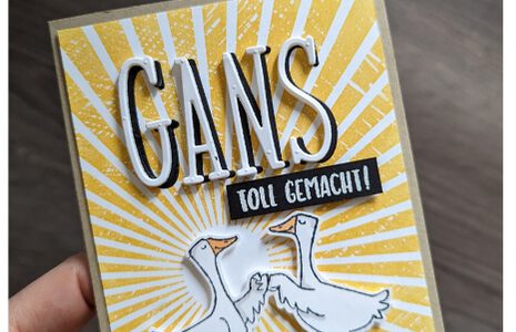 Gans toll gemacht – silly Goose Karte