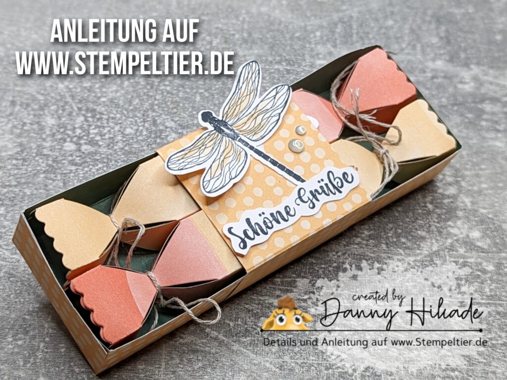 stampinup libelle anleitung verpackung knallbonbon schachtel libelle zauber der wüste