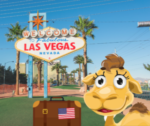 stampin up backstage las vegas goodies aktion