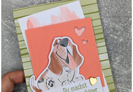 An deiner Seite | das neue  Kit für Hunde und Katzenfans