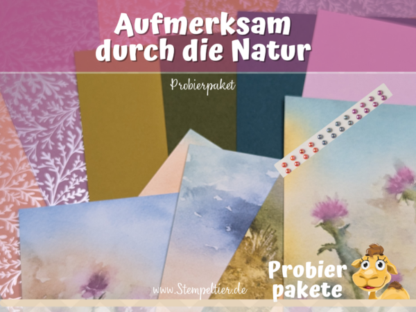 stampin up probierpaket aufmerksam durch die natur jk 2024 stempeltier