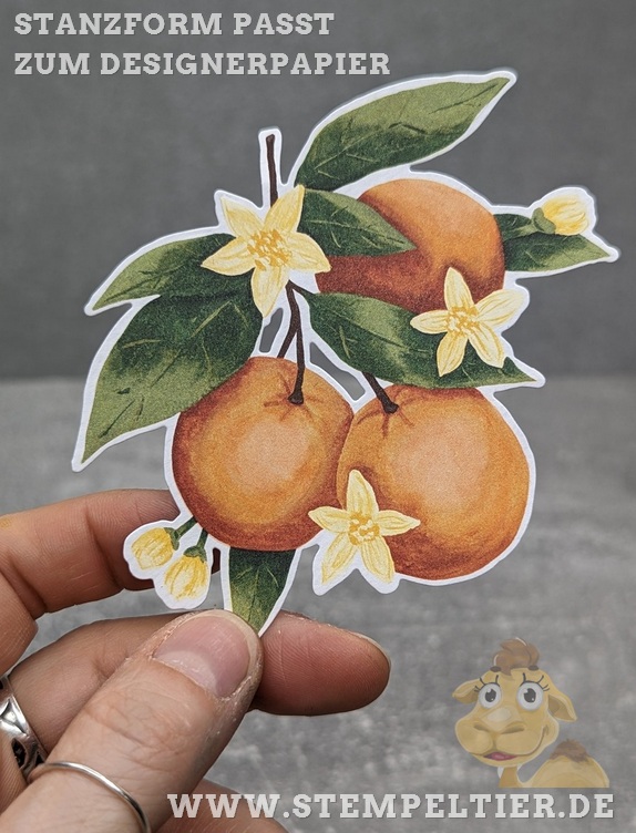 stampin up grüsse vom mittelmeer zitrone orangen