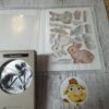 Osterhase – Bild 2