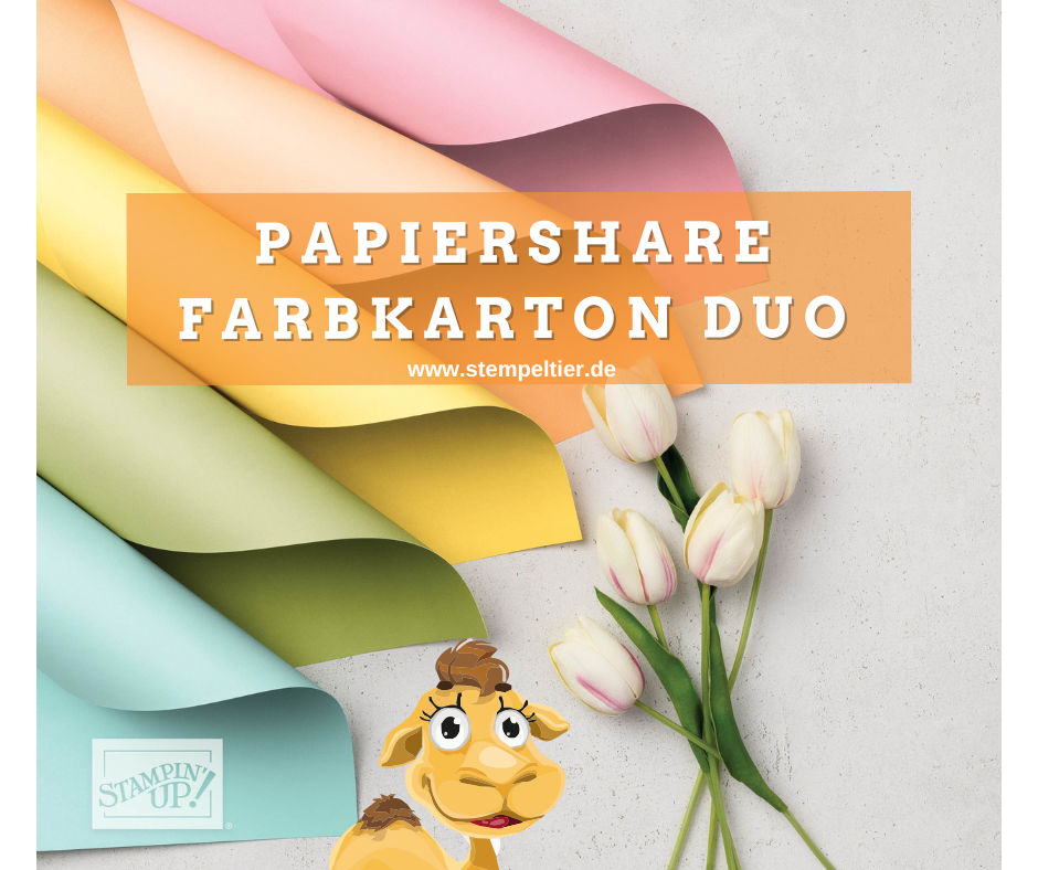 farbkarton duo stampin up share papiershare jahreskatalog scrapbooking duo farbkarton stempeltier
