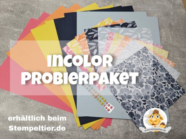 Probierpaket "In color 2025-2027"