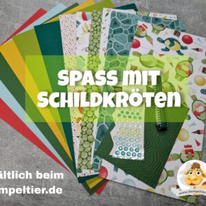 Materialpaket "Spass mit Schildkröten"