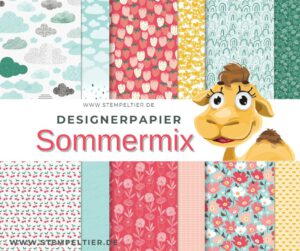 Designerpapier SAB 2024 Sommermix stempeltier wolken stampinup