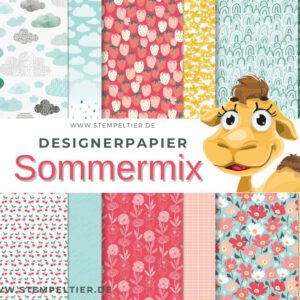 Designerpapier SAB 2024 Sommermix stempeltier wolken stampinup