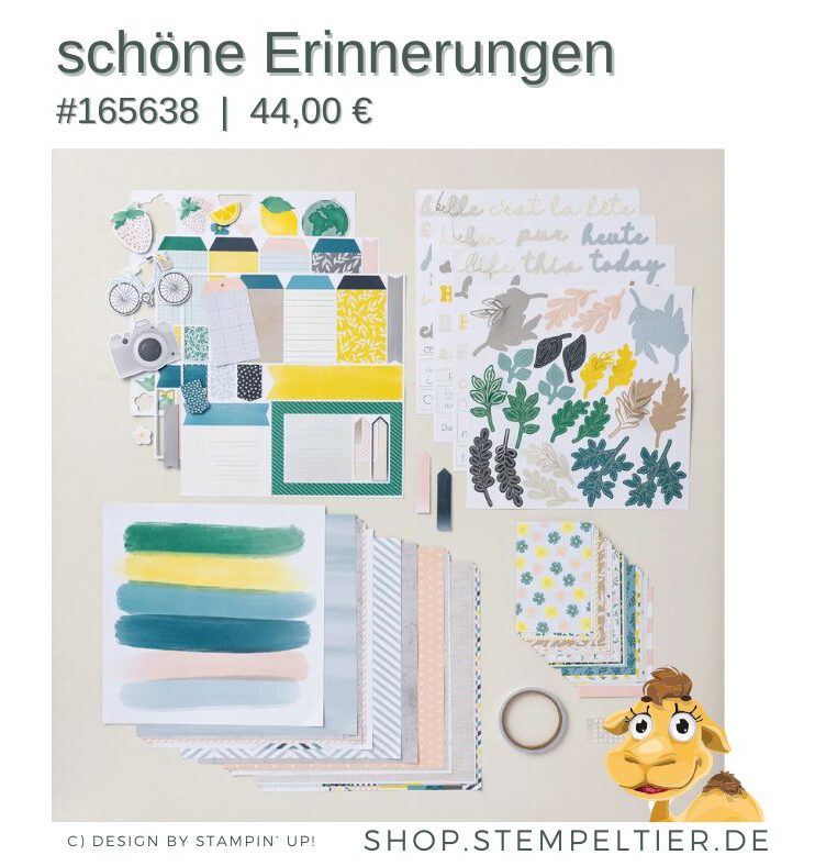 kit schöne Erinnerungen stampin up fotoalbum