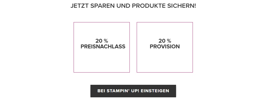 stampinup einsteigen starterset demo